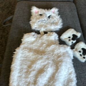 Pottery Barn kids Cat costume
